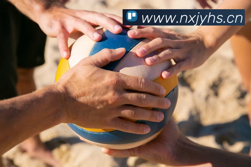 爱游戏体育app官网入口平台生态图