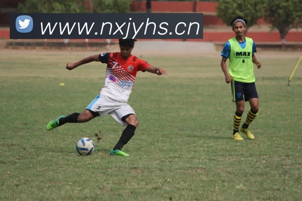 爱游戏体育app官网入口全站App